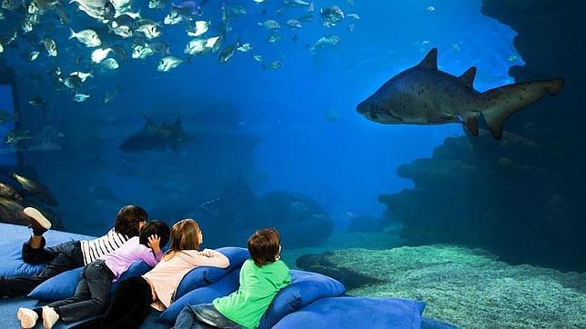 akvapark-v-barcelone-2