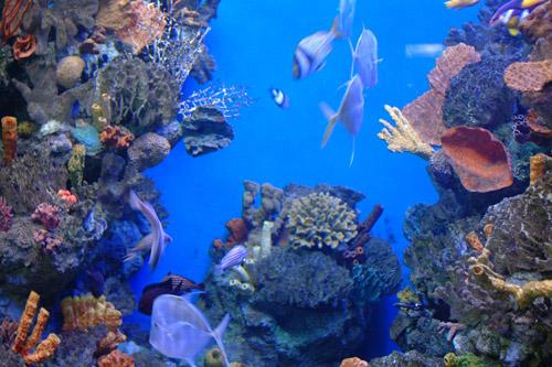 akvapark-v-barcelone-5