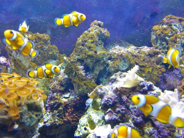 akvapark-v-barcelone-7