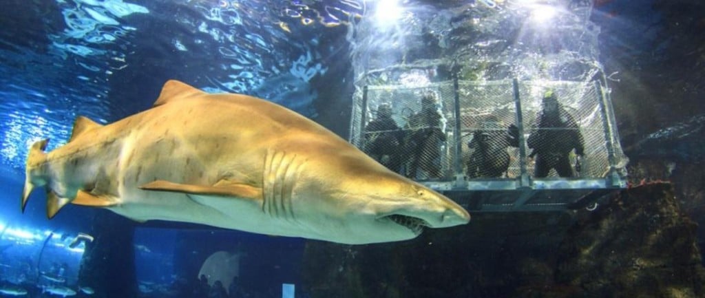 akvapark-v-barcelone-8